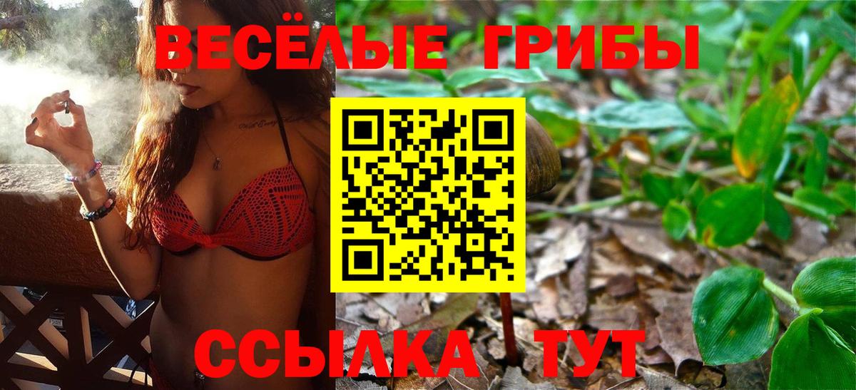 Тольятти  Псилоцибиновые грибы ЛСД  Вход с VPN 